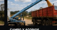Campo y granos